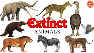 Extinct Animals  Top 70 Extinct Animals Name for Kids in English  Rare Extinct Animals Video kids [upl. by Yesteb853]