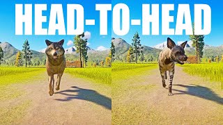 Timber Wolf vs Striped Hyena A Head to Head Speed Race in Planet Zoo [upl. by Aretahs]