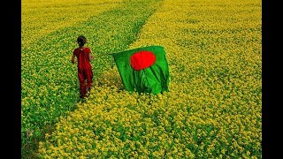 Amar Sonar Bangla Ami Tomai Valobashi Bangladesh National Song [upl. by Esoranna209]