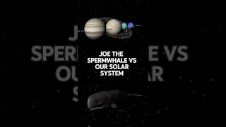 Joe the Sperm Whale vs Our Solar System 🐋🪐shorts fyp whale space universe explore astronomy [upl. by Royo]