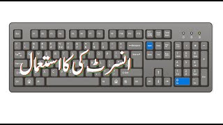 What is the use of Insert Key in Computer Science in Urdu  Lunar Computer College [upl. by Ahsemal]