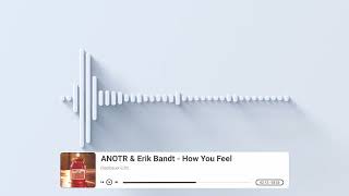 ANOTR amp Erik Bandt  How You Feel Salzbauer Edit [upl. by Calbert]