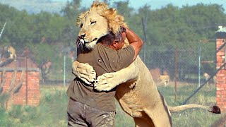 Animals Reunited With Owners After Years [upl. by Pascal528]