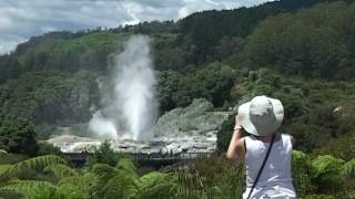 Rotorua  Geysers and Mud Pools [upl. by Enomys288]