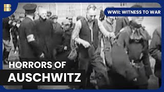 Auschwitz to Berlin The Final Battle  WWII Witness to War  S01 EP11  History Documentary [upl. by Eckel]