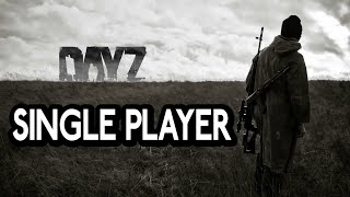 How to play DayZ in Single Player  Easy Guide [upl. by Nyvlem]