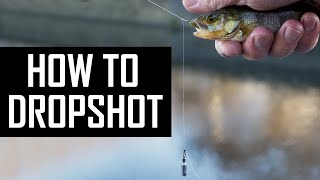 How to DROPSHOT for PERCH Advanced dropshoting techniques in detail [upl. by Head]