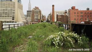 Inhabitat talks to James Corner about the design of the High Line Urban Park [upl. by Erdnad]