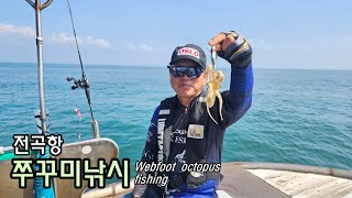 조황속보 전곡항 쭈꾸미낚시 915일  Webfoot octopus fishing [upl. by Kcirdef100]