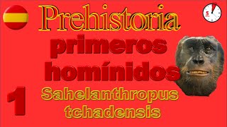 VIDEO CORTO Preaustrolopithecus El Sahelanthropus tchadensis en menos de 3 minutos [upl. by Billy644]