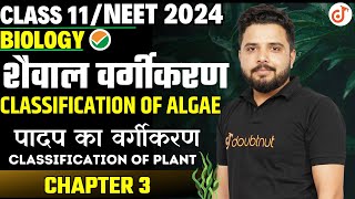 शैवाल वर्गीकरण Classification of Algae  Plant Kingdom Chapter 3  Class 11NEET Biology Yogesh Sir✔ [upl. by Anerahs]