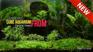 Beautiful Aquarium Scenes Part 3 [upl. by Aymer111]