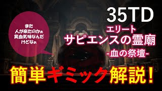 Bless Unleashed 35TD サピエンスの霊廟 血の祭壇エリート 簡単解説 [upl. by Dlareme]