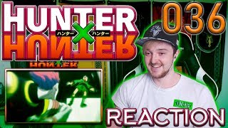 Hunter x Hunter  Episode 36 REACTION quotA Big Debt x and x A Small Kickquot [upl. by Gervais]