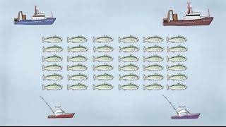 Fisheries Economics amp Policy Intro to Fisheries Management [upl. by Vincelette691]