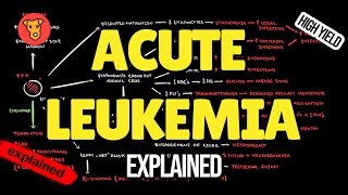 ACUTE LYMPHOCYTIC LEUKEMIA Pathogenesis Mechanism of clinical symptoms Pathology [upl. by Camala270]