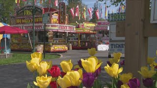 67th annual Tulip Fest kicks off in Holland [upl. by Basset]