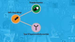 USMLE Prep  Thiazide Diuretics  Sulfa Drug Allergy [upl. by Iyre]