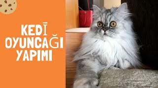 Evde kedi oyuncağı yapımı Kedi Oltası DIY [upl. by Oirramaj]