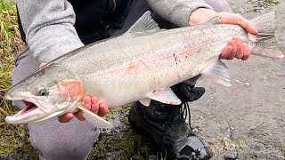 Winter Steelhead High Water Fishing Clackamas amp Sandy River Bobber doggin Beads and Worms [upl. by Aciemaj79]