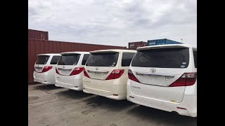 Used Toyota Alphard amp Toyota Vellfire 2008 To 2010 Review Price Detail For Sale [upl. by Nayllij193]