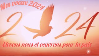 Mes meilleurs voeux pour 2024 [upl. by Nidnarb]