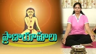 Pranayama Yoga  The Art of Yoga Breathing  Beauty Spot  Vanitha TV [upl. by Nolahc]