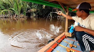 Rejeki Nomplok Dapat ikan super mahal ketika mancing udang galah di sungai [upl. by Narod]