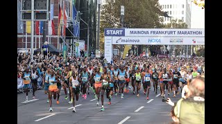 Highlights Frankfurt Marathon 2022 [upl. by Lacefield]