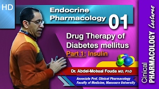 Endocrine Pharmacology Ar  01  Diabetes mellitus  Part 1 Insulin [upl. by Eveineg]