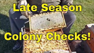 Late Season Colony ChecksThat Bee Man [upl. by Emelda]