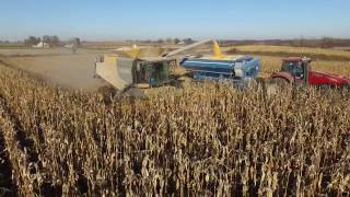 CLAAS Lexion 740 TT Combine Harvesting Corn [upl. by Kara]