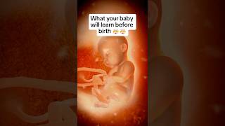 🤯🤯What Your Baby Already Knows By Birth [upl. by Mall]