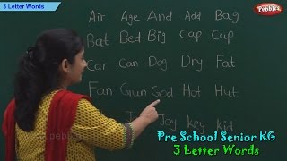 3 Letter Words  Three Letter Phonics Words  Sight Words  School Leaning [upl. by Elberta193]