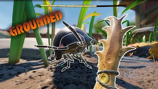 This bug has insane defense [upl. by Sivi663]