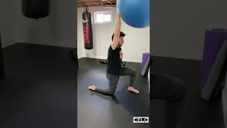 Shoulder Mobility  Overhead Flexion Perturbations [upl. by Onaicnop]