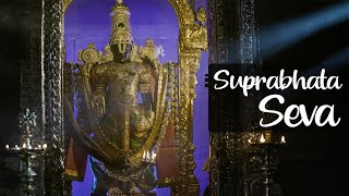 Sri Venkateshwara Suprabhatam  ISKCON Bangalore [upl. by Gretel]