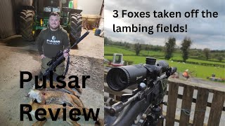 Pulsar review amp 3 foxes taken off the lambing fields [upl. by Akcirehs695]