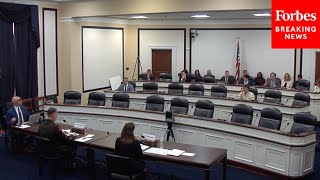 Army Officials Testify On Extremism Policies To House Armed Services Committee [upl. by Niknar]