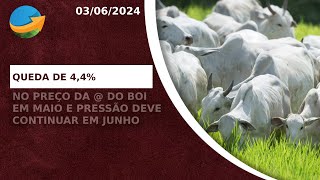 Arroba do boi fecha maio com queda de 44 e pressão deve continuar ao longo da primeira quinzena [upl. by Ltney]