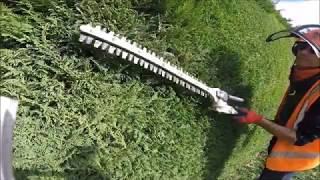 TRIMMING A CONIFER HEDGE ON A COMMERCIAL SITE [upl. by Anidan]