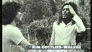 Who Killed Bob Marley Documentary  Strange Universe Documentary [upl. by Zoellick579]