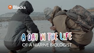 A Day In The Life  Marine Biologist [upl. by Enilesoj792]