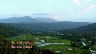 Hanalei Valley Kauai Hawaii [upl. by Sirrad]