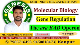 Arabinose Operon  Gene Regulation Lecture8  CSIR NETJRF  Life science [upl. by Idahs]