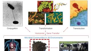 Metagenomics Microbiomes and ModelsOh My [upl. by Atilol445]