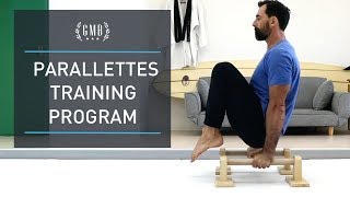 Parallettes Workout Routine amp Training Program [upl. by Tterraj650]