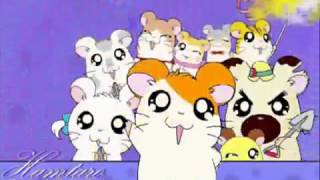 Hamtaro Opening Song Indonesia [upl. by Monteith]