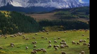 J S Bach Cantata Nº 208 Sheep May Safely Graze BWV 208 [upl. by Darmit89]