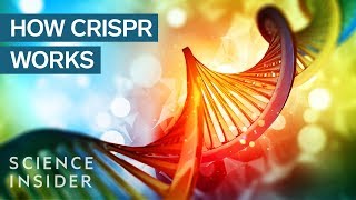 CRISPR DNA Editing System In 90 Seconds [upl. by Nawrocki]